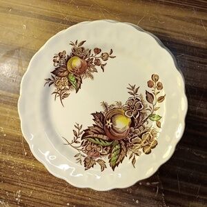 Ridgway Staffordshire England Devon Fruit dessert plates saucers 8 farmhouse mcm